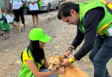 Propone PVEM atención veterinaria a animales comunitarios en Michoacán