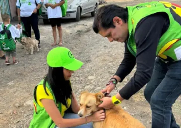 Propone PVEM atención veterinaria a animales comunitarios en Michoacán